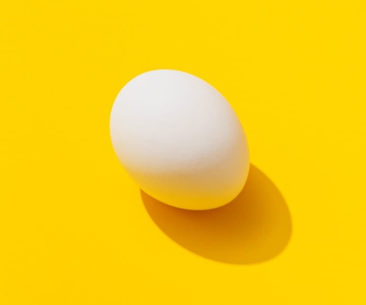Image of egg with orange bacground and eg shadow